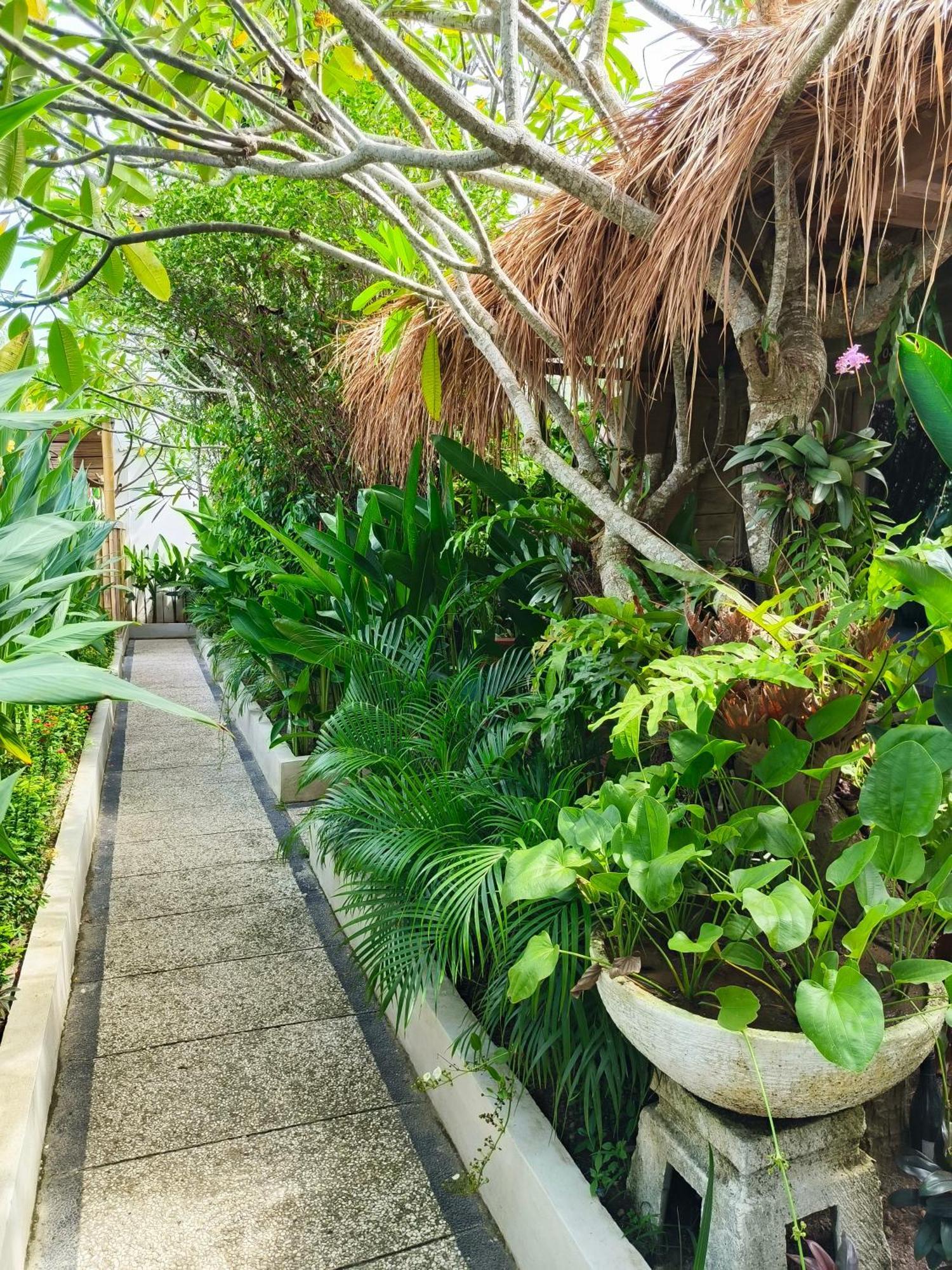 Lavella Villas Kuta  Buitenkant foto